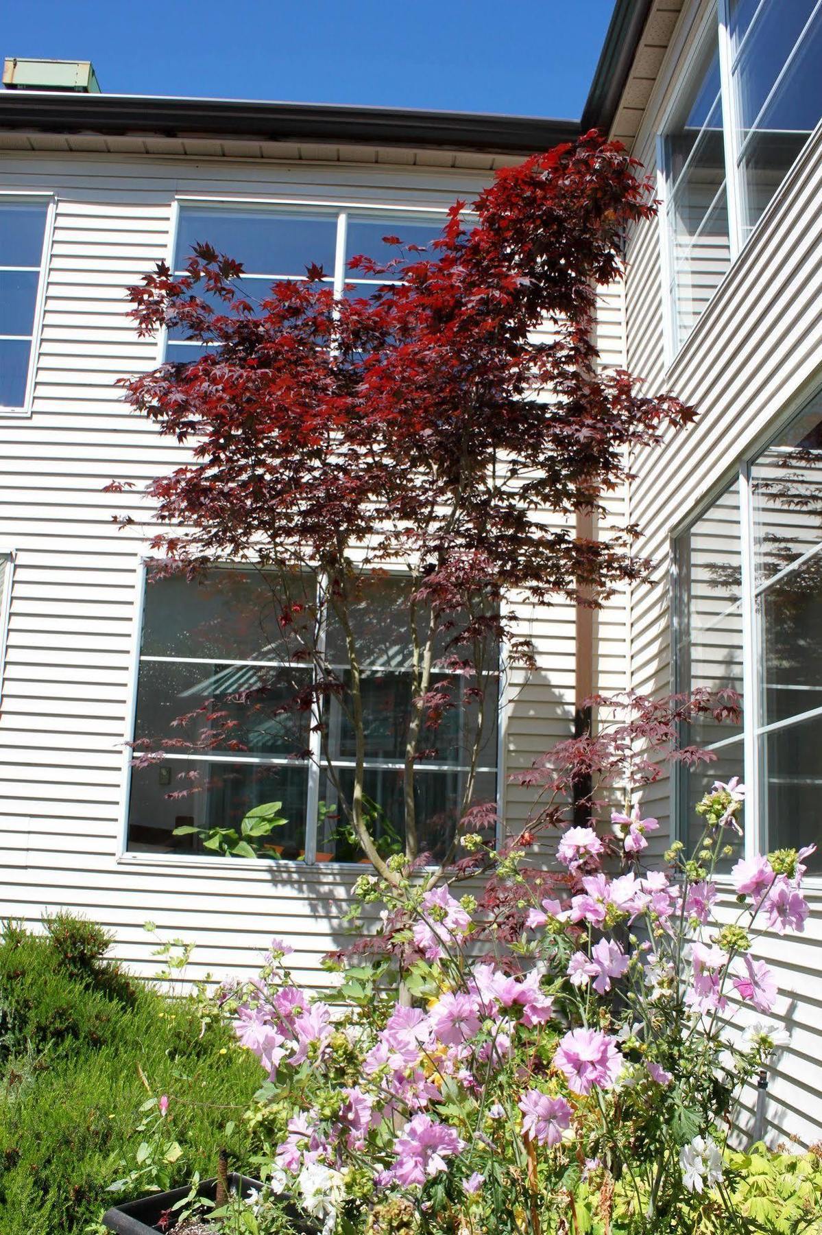 Hotel Garden Gibsons